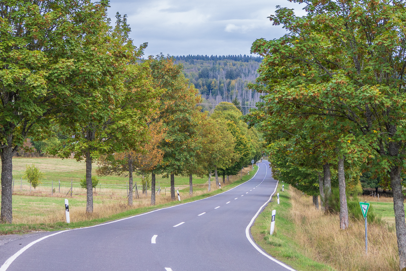 Sch&ouml;ne Allee