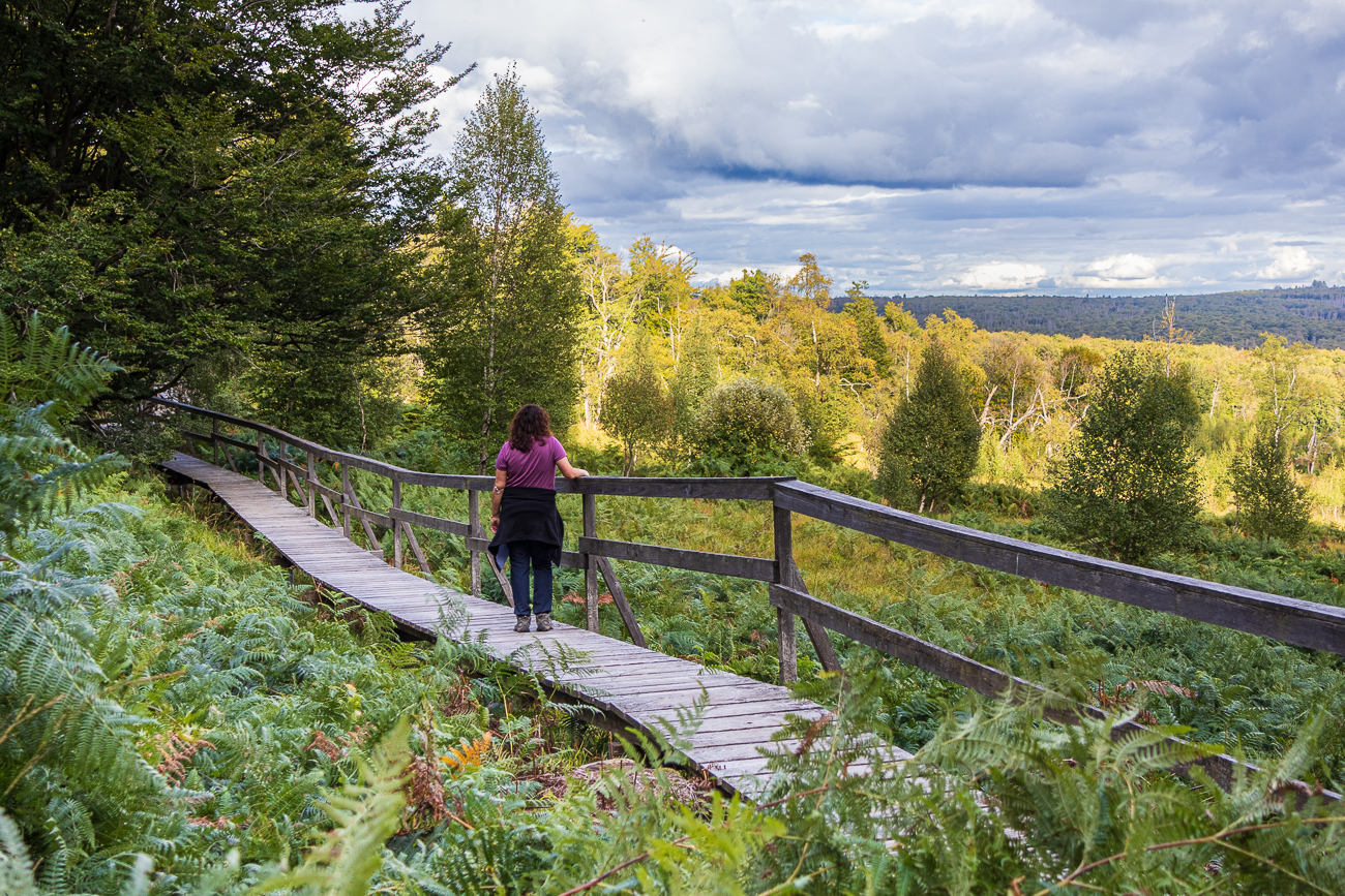 Wanderstrecken