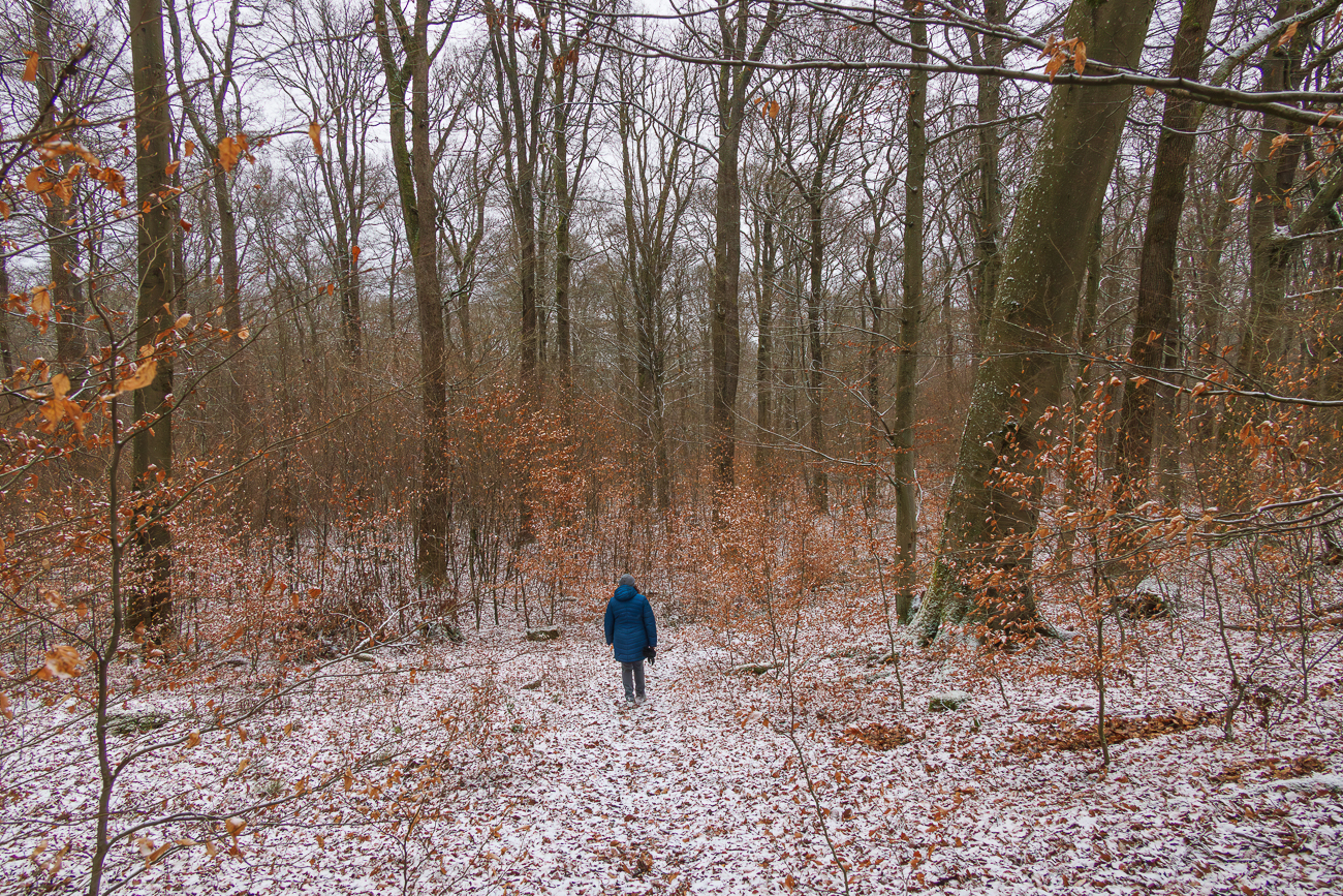 Der Weg bergab ist rutschig