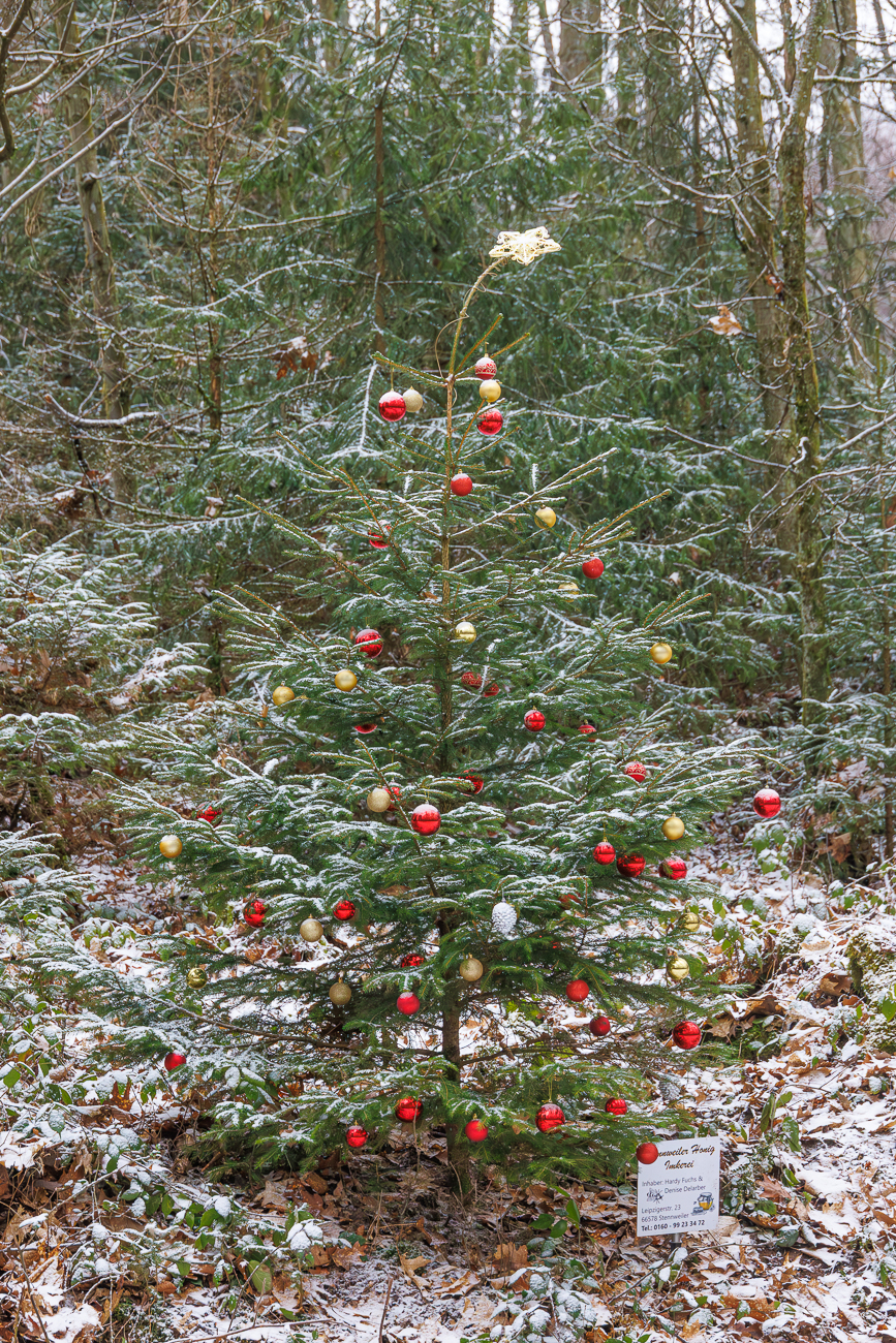 Ein Weihnachtsgru&szlig; von letzter Woche