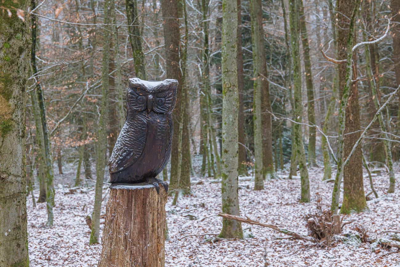 Eine echte Eule w&auml;re mir lieber gewesen ;-)