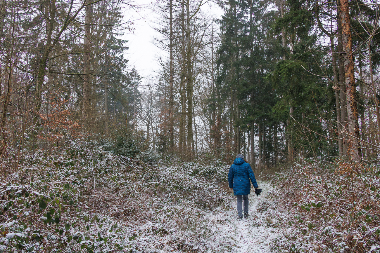 Vom Pfad geht es ...