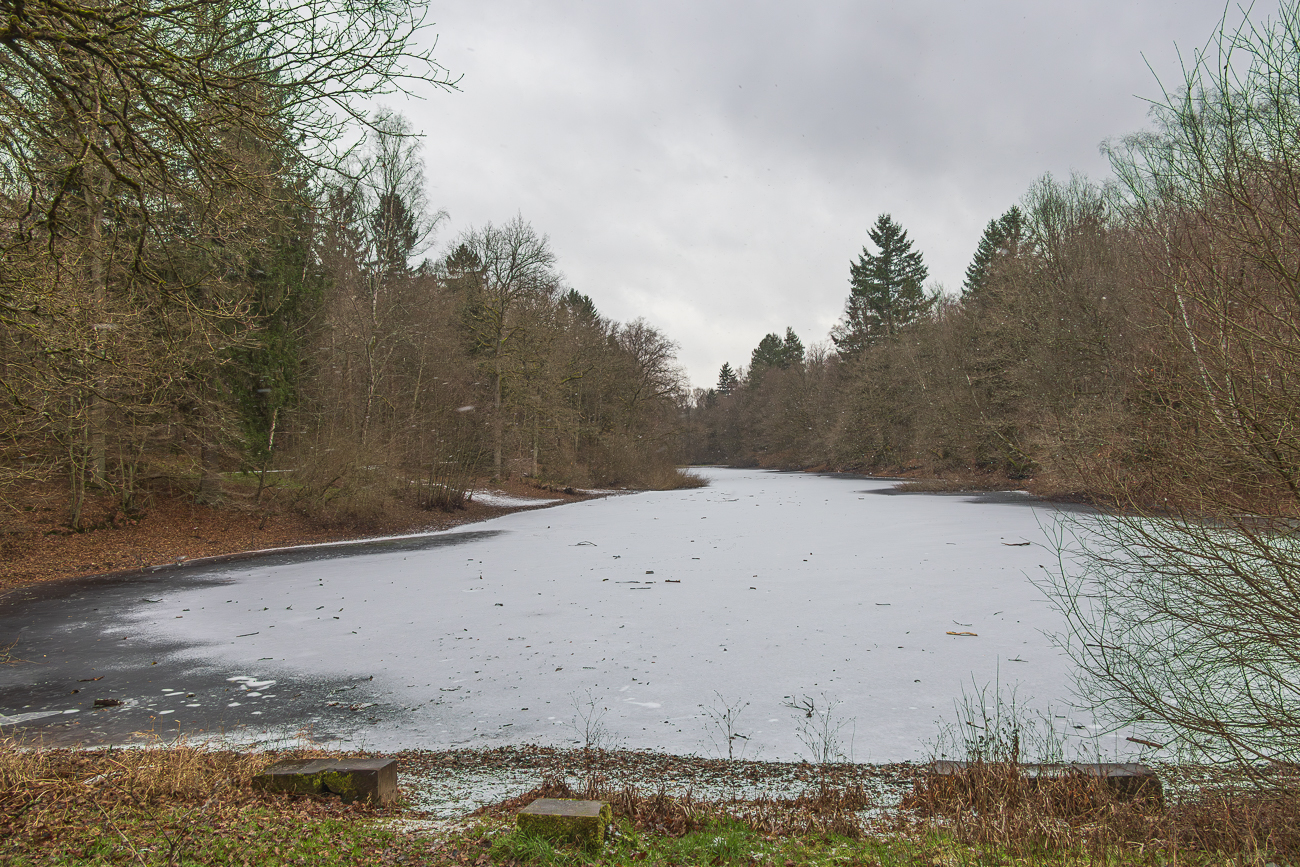 Am "Gro&szlig;en Warndtweiher"