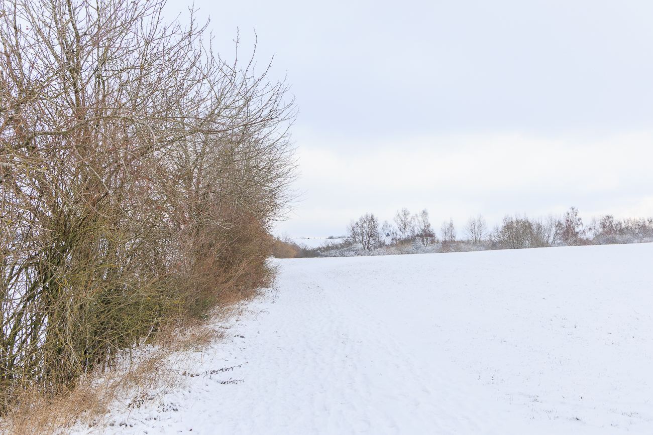 Blick Richtung Stennweiler