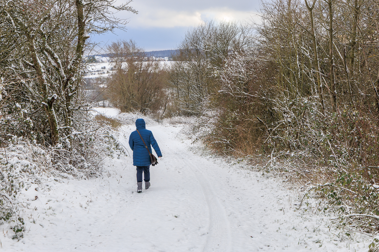 Weg nach Heiligenwald