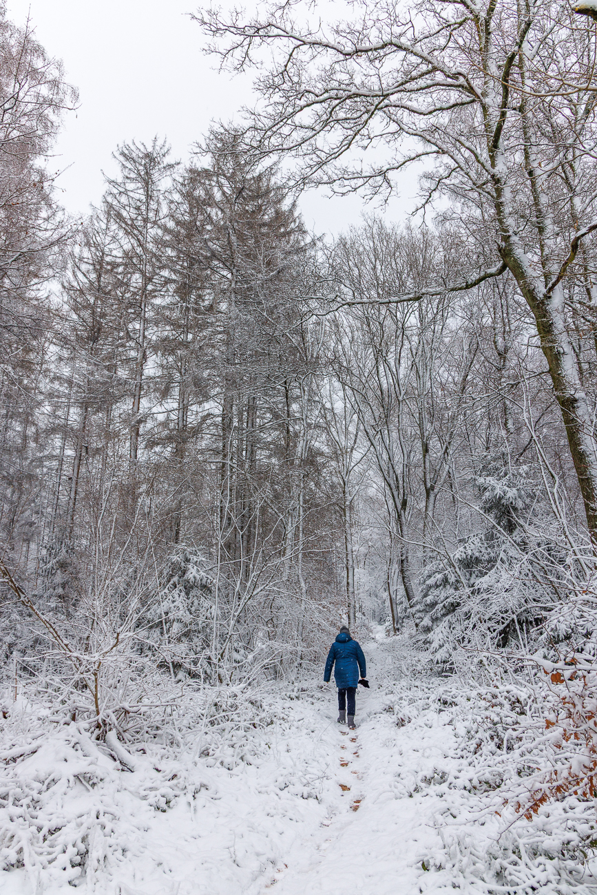 ... aber, es taut schon wieder