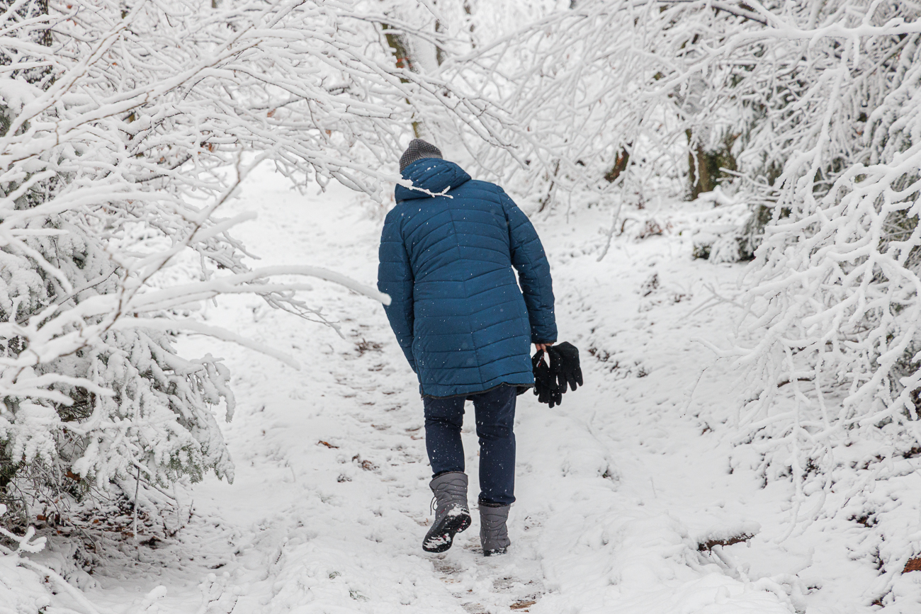 Der nasse Schnee biegt die &Auml;ste nach unten