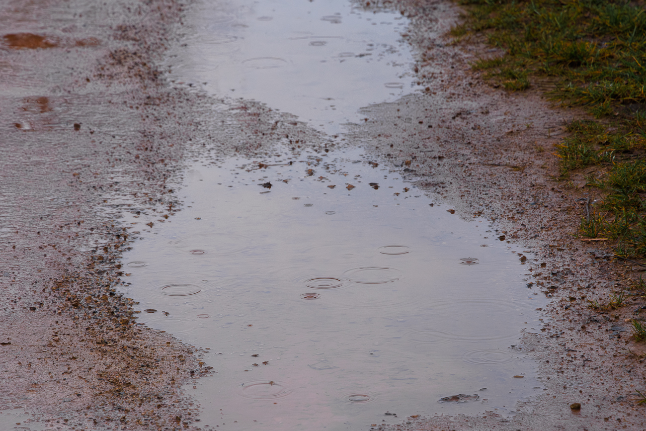 ... zum Gl&uuml;ck hilft der leichte Regen mir heuschnupfengeplagten Mensch
