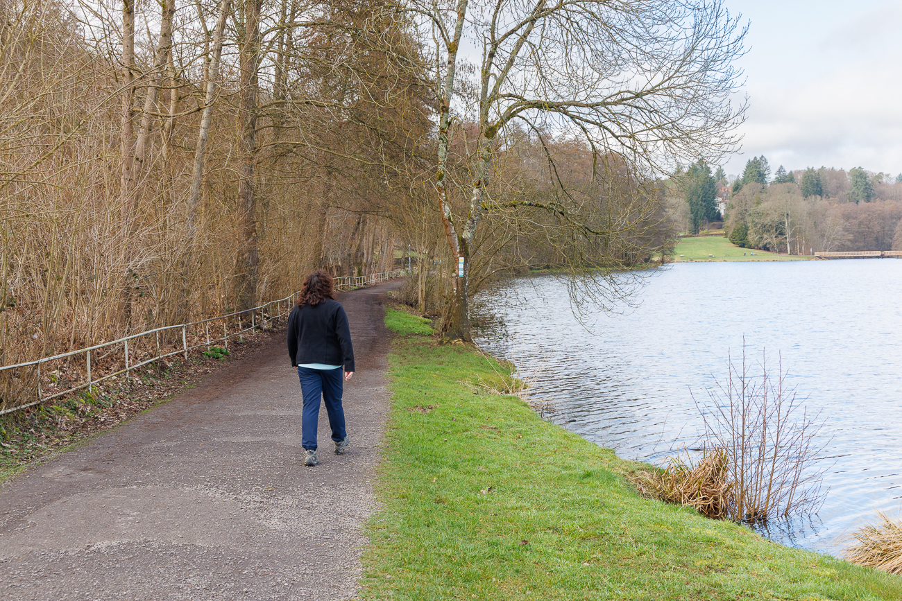 Wanderweg am W&uuml;rzbacher Weiher