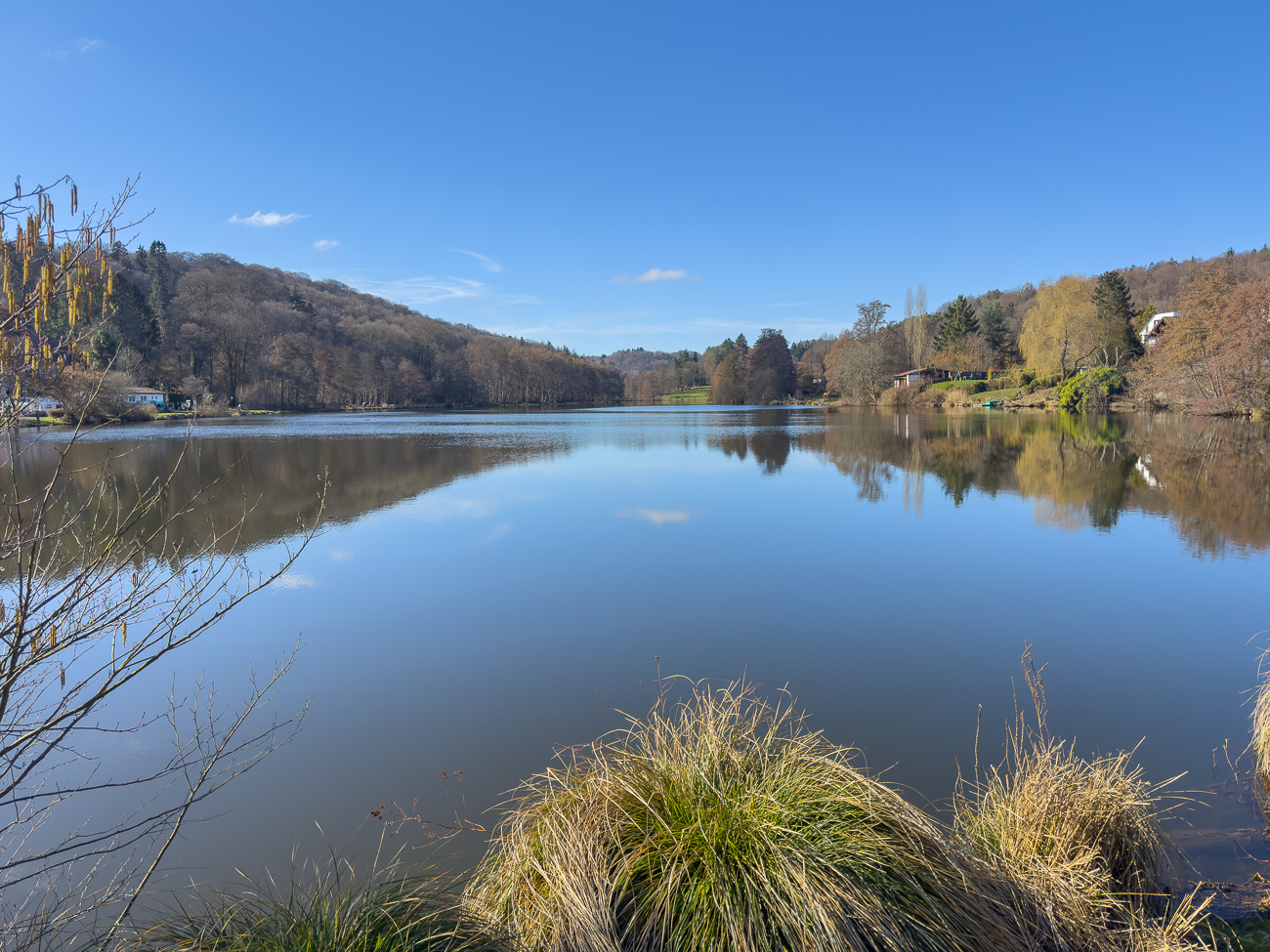 Zur&uuml;ck am W&uuml;rzbacher Weiher