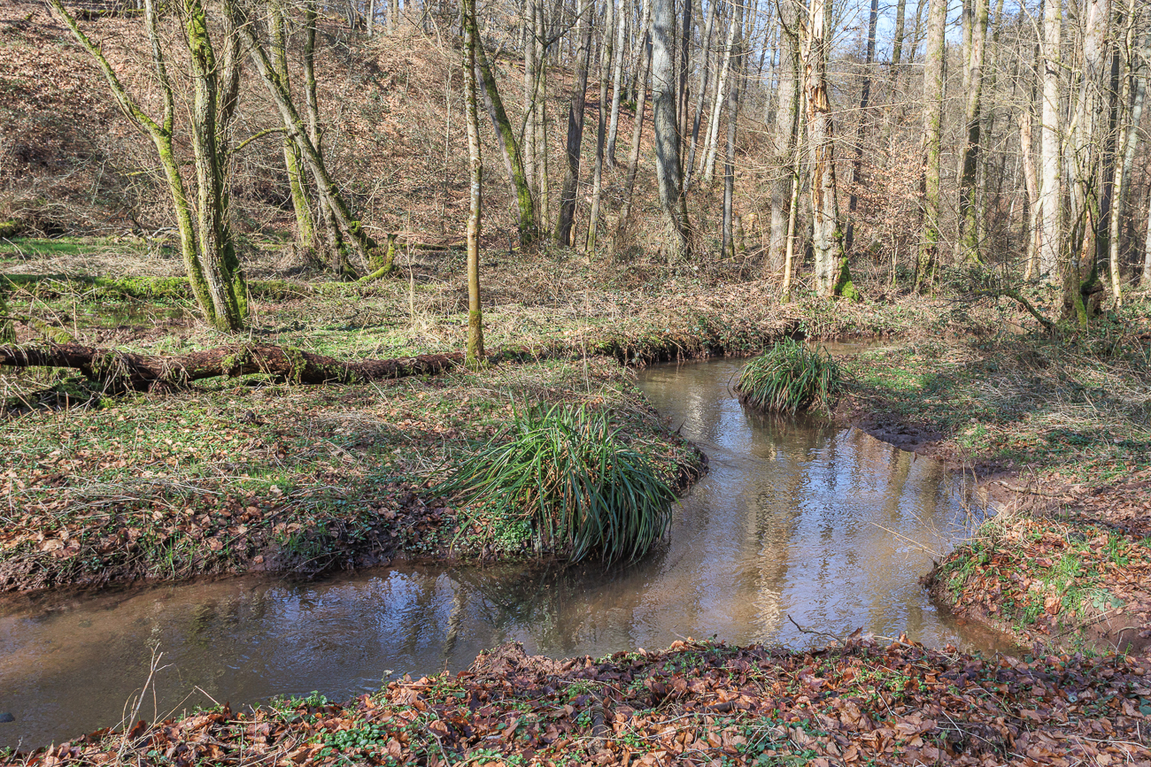 Der Feilbach im gleichnamigen Tal