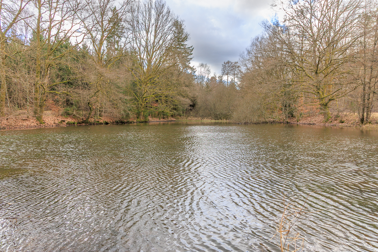 Teich am Humersbach