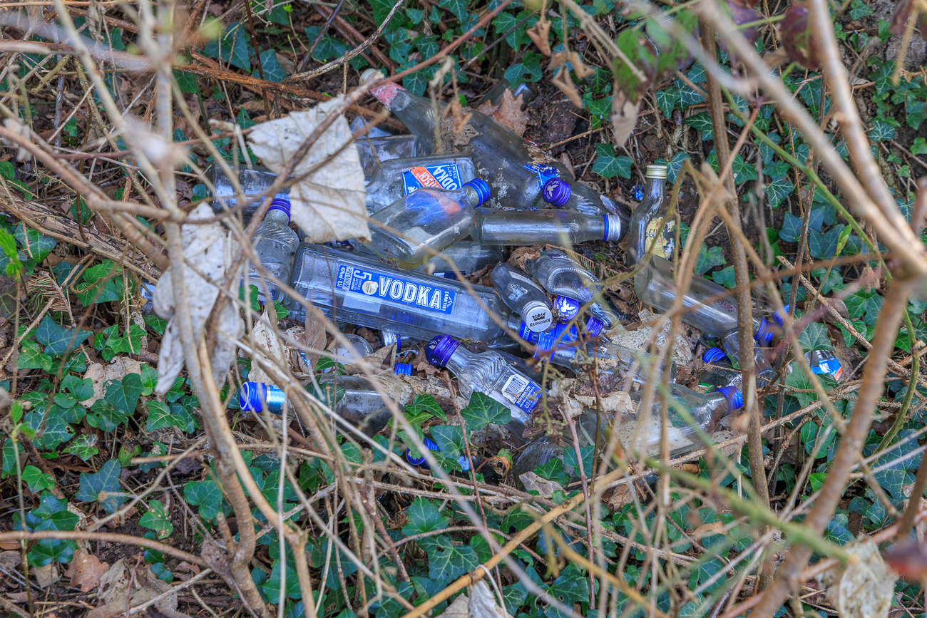 Wie leider so oft liegt M&uuml;ll im Wald :-(