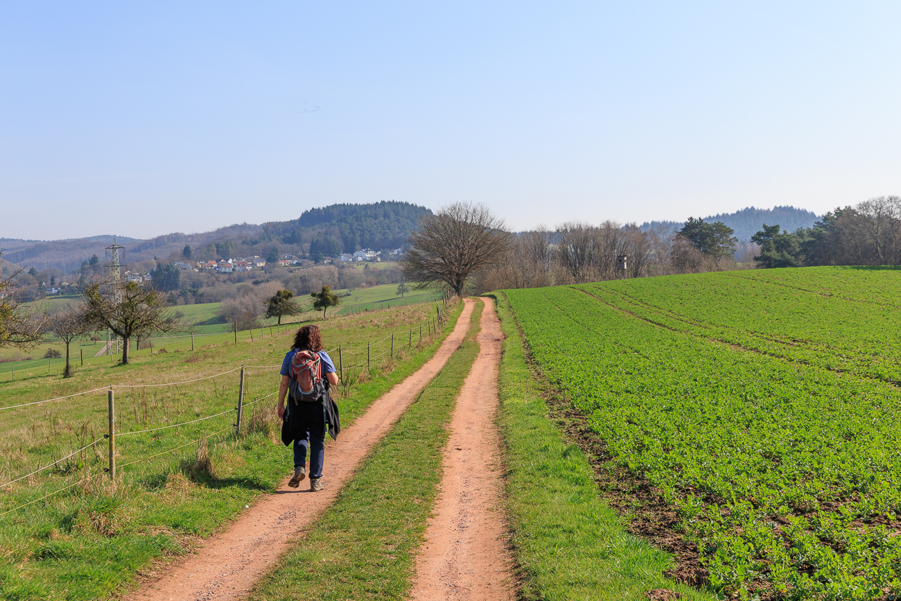 Wanderweg zwischen Feldern