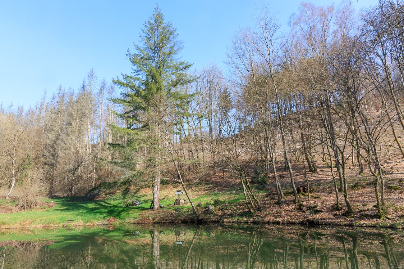 Fischteich