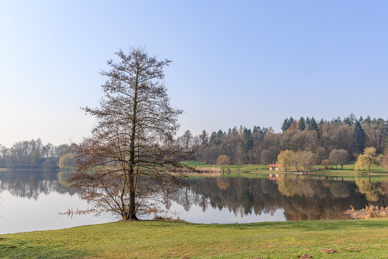 Am Losheimer See