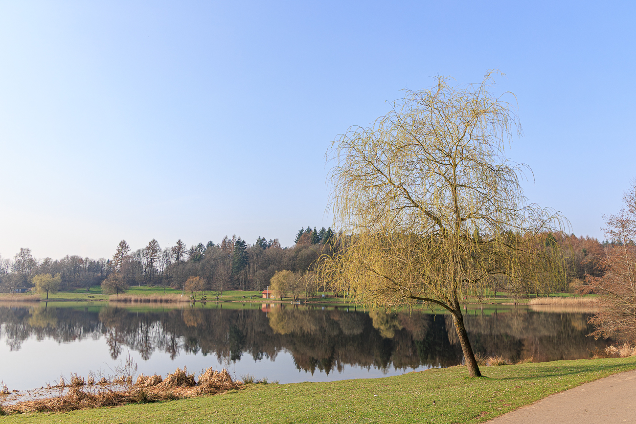 Am Losheimer See