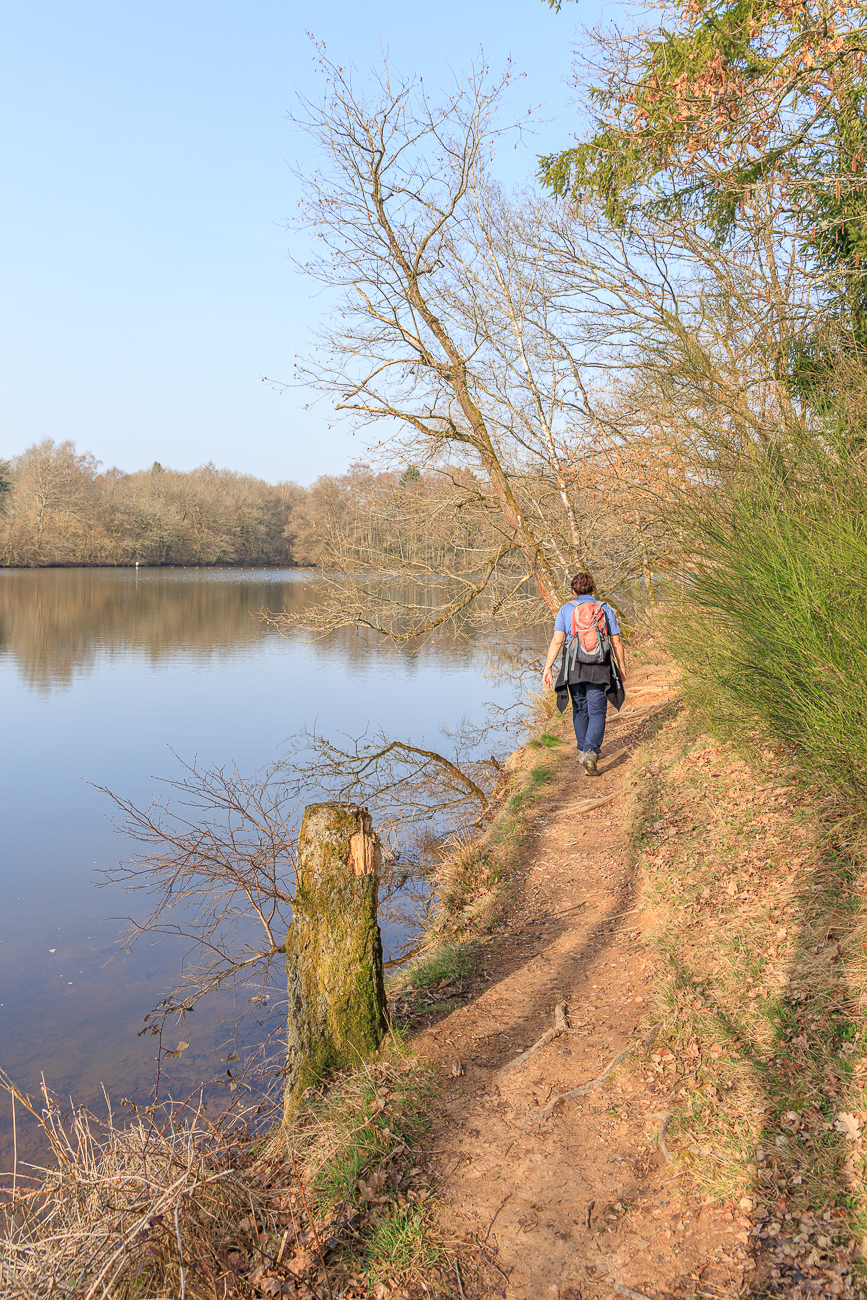 Am Losheimer See