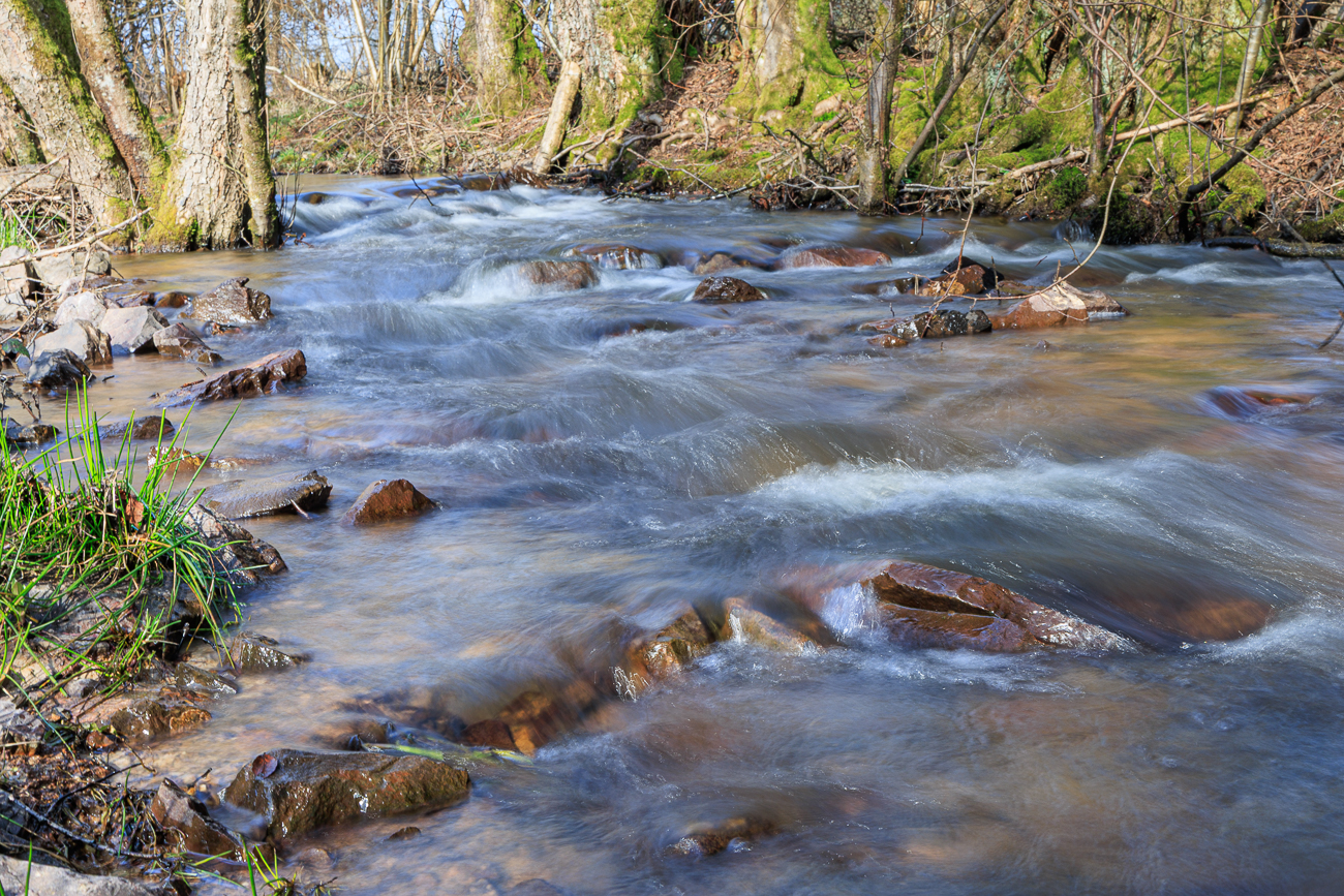 Der Metzenbach