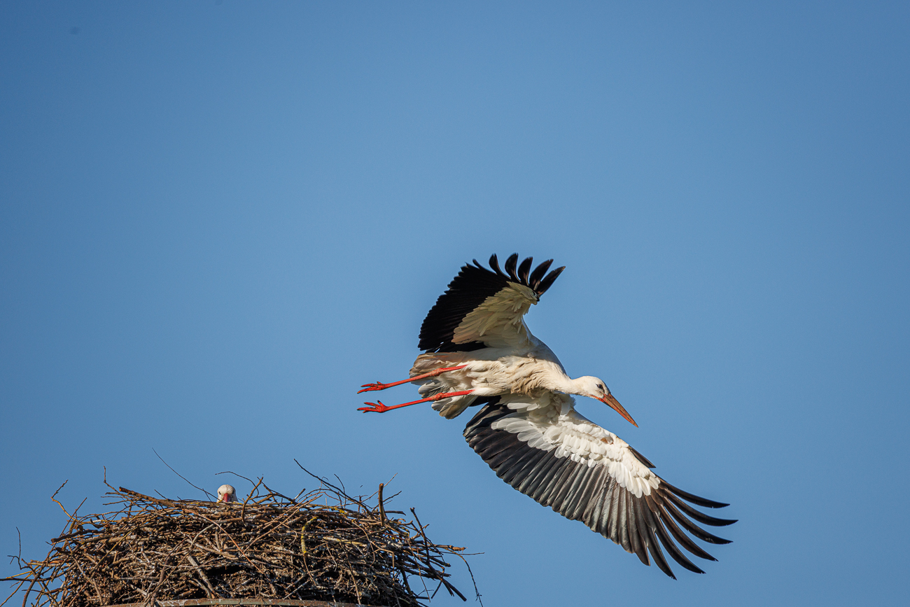 Abflug zum Material sammeln