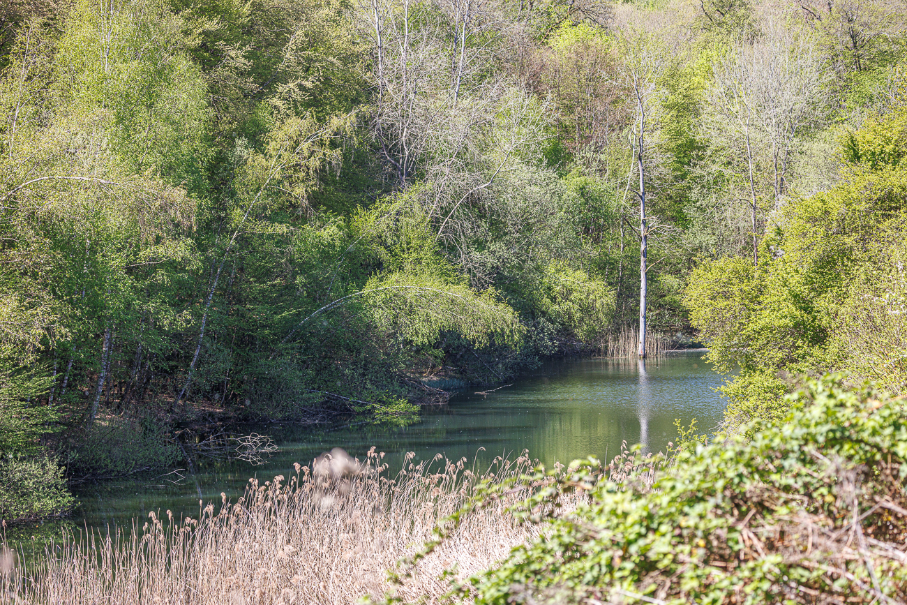 Kleiner Weiher