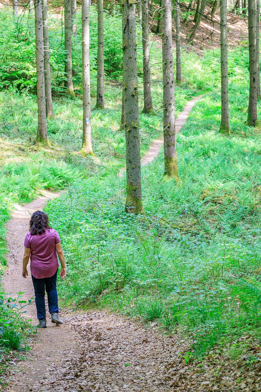Abstieg ins Tal
