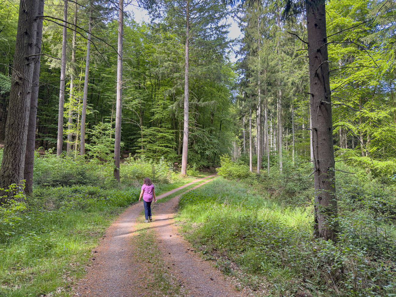 Auf der "Waldautobahn" ;-)