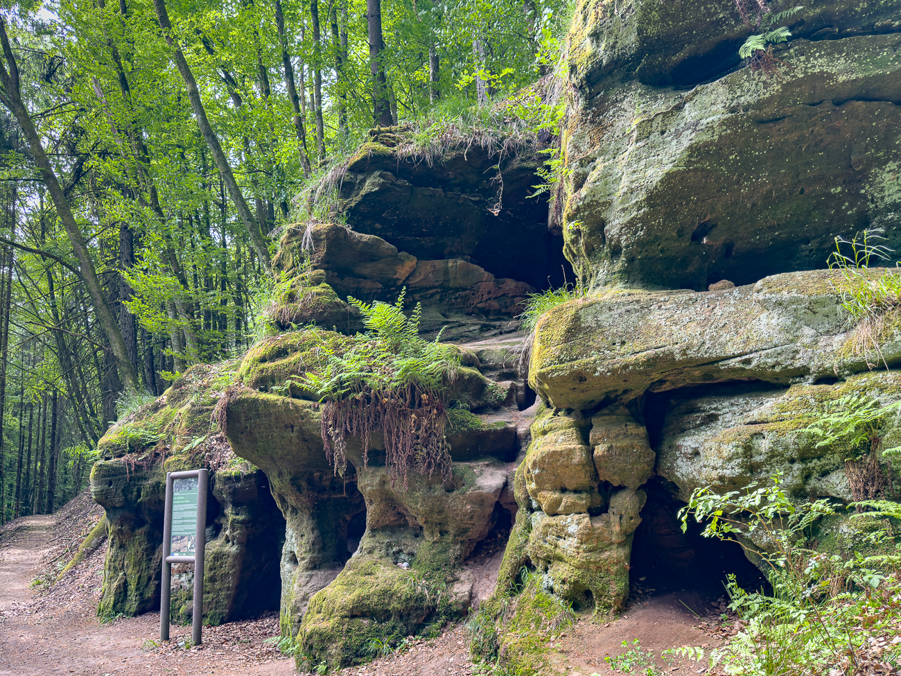 Am Wolfsfelsen