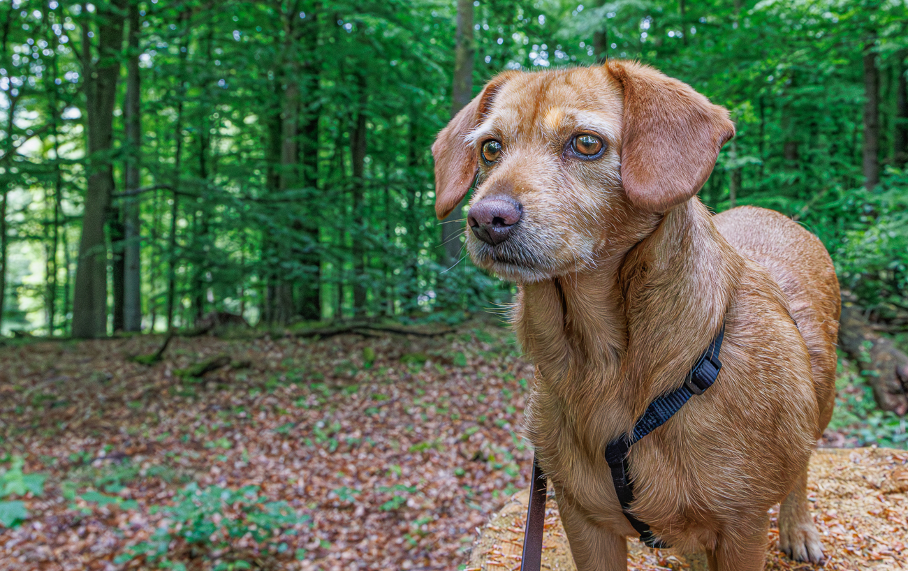 Und nochmal die Frieda ;-)