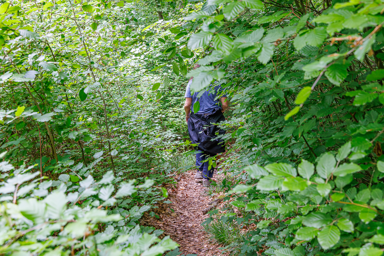 ... und dichter Wald