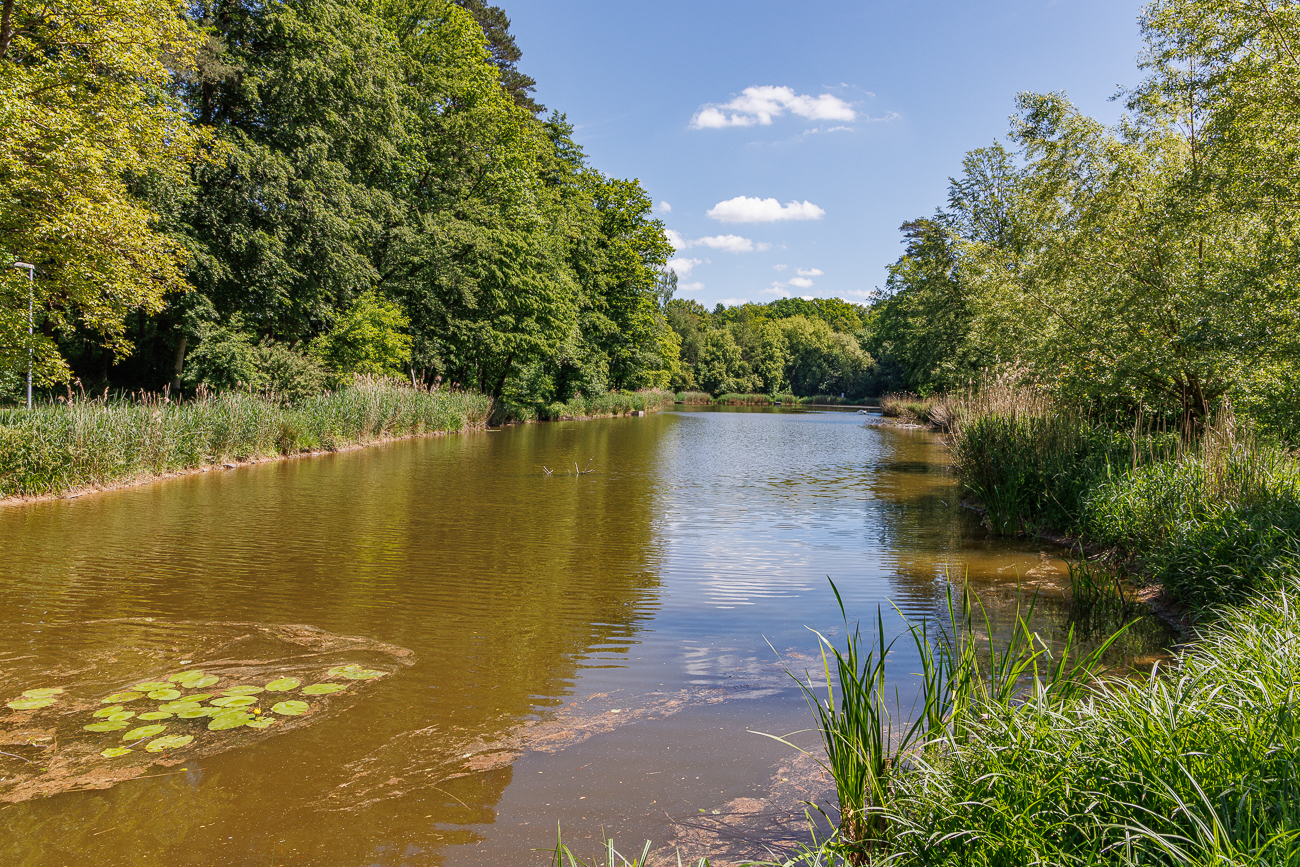 Fischweiher