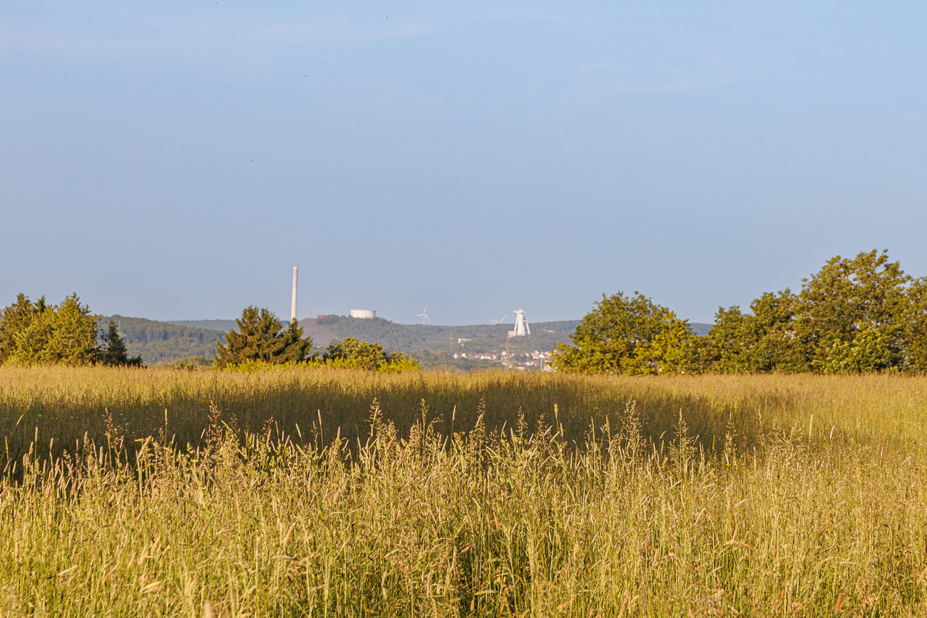 Am Horizont die Grube G&ouml;ttelborn