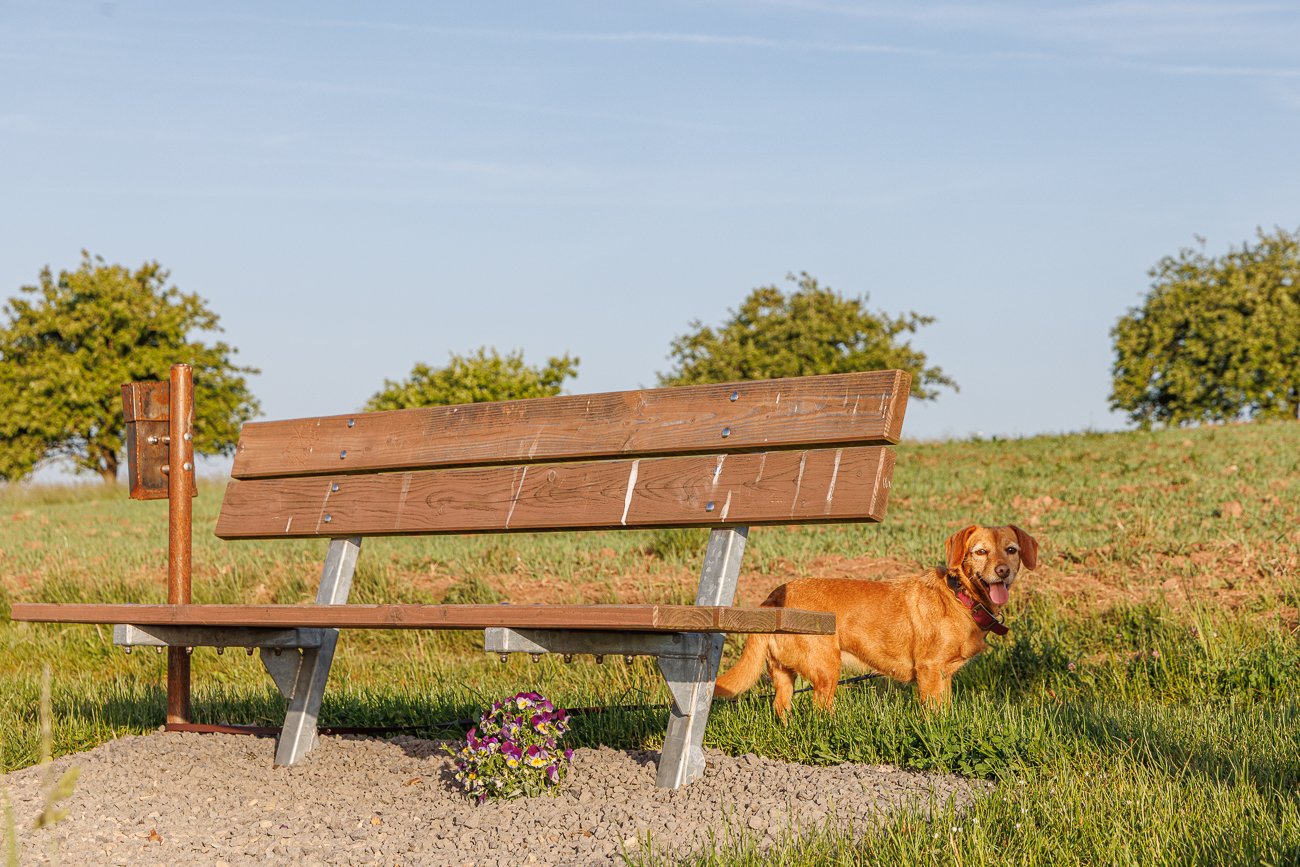 Frieda bei der Rastbank