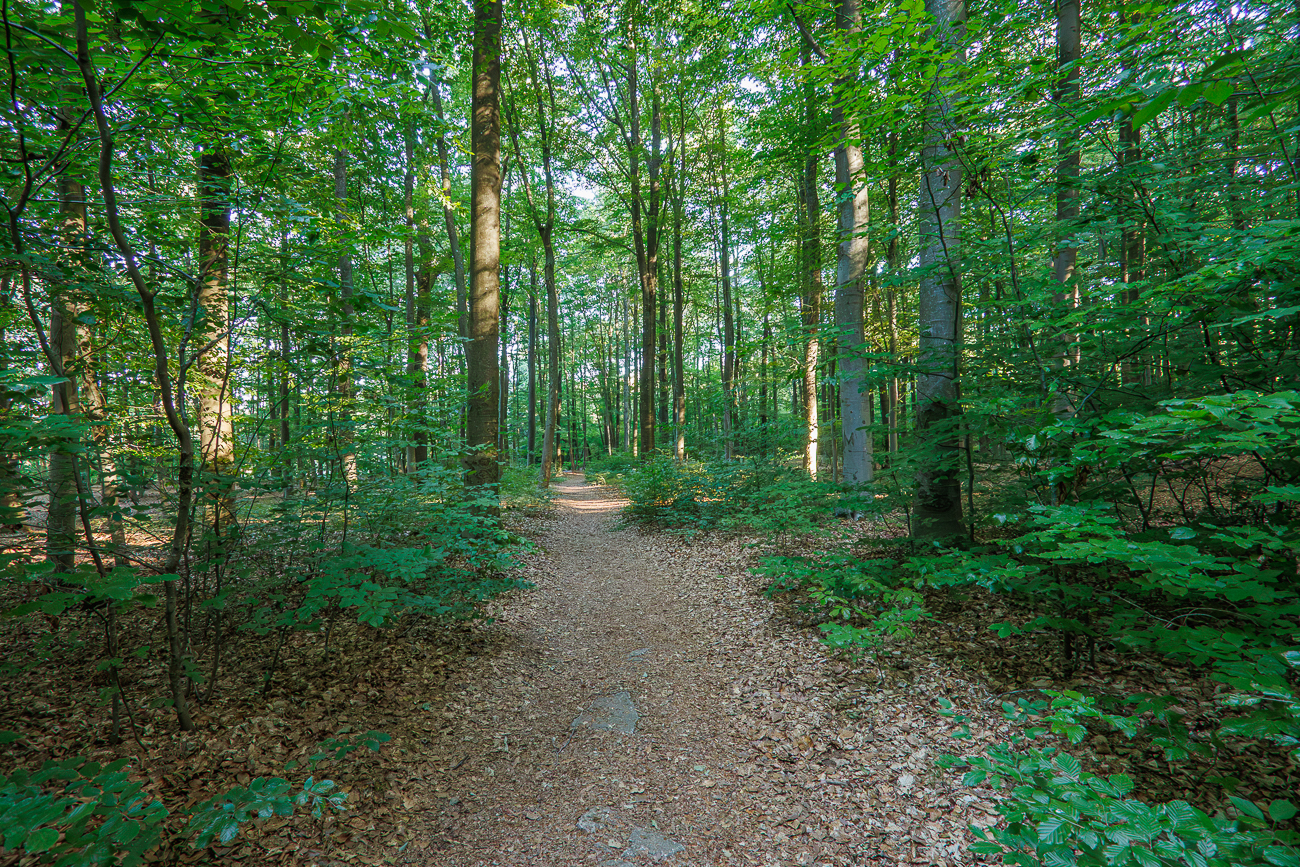 K&uuml;hler Weg bei der Sommerhitze