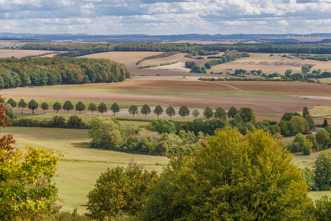 Blick in die Landschaft