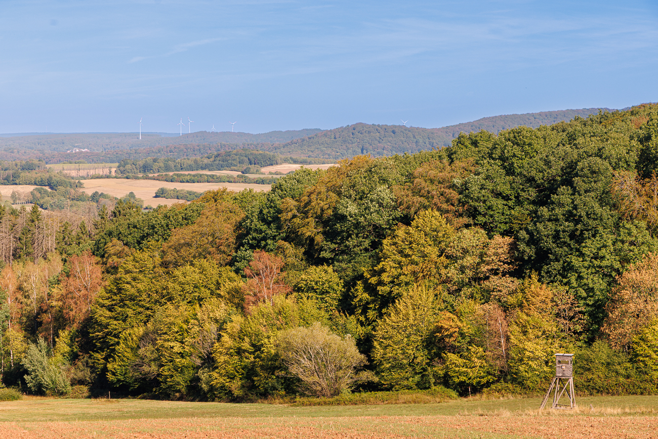 Herbstliche Farben